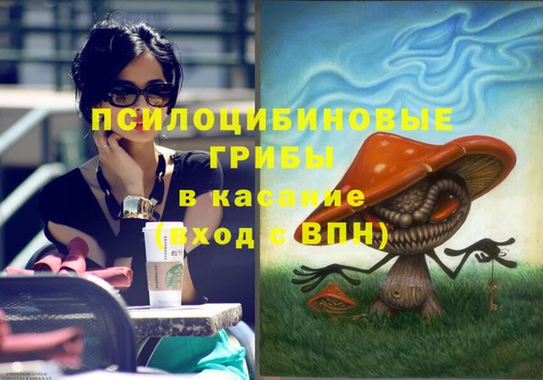 шишки Алексеевка