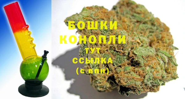 шишки Алексеевка