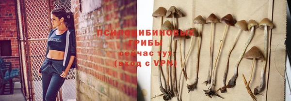 шишки Алексеевка