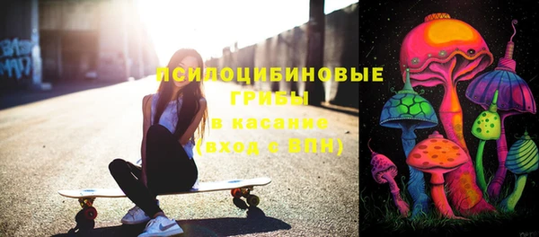 шишки Алексеевка