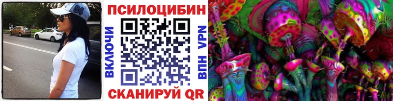 Псилоцибиновые грибы Psilocybe  как найти   Апатиты 